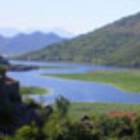 Annapurna's 540 WEST Rest'O'Bar